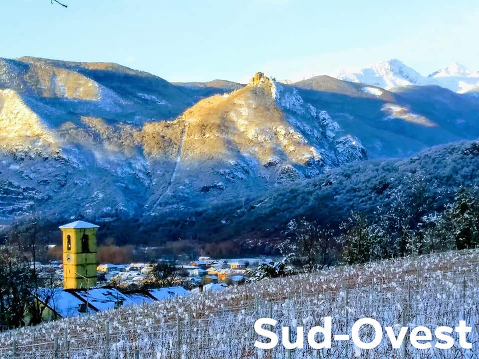 Panorami invernali dagli olivi e dalle vigne (Almese)